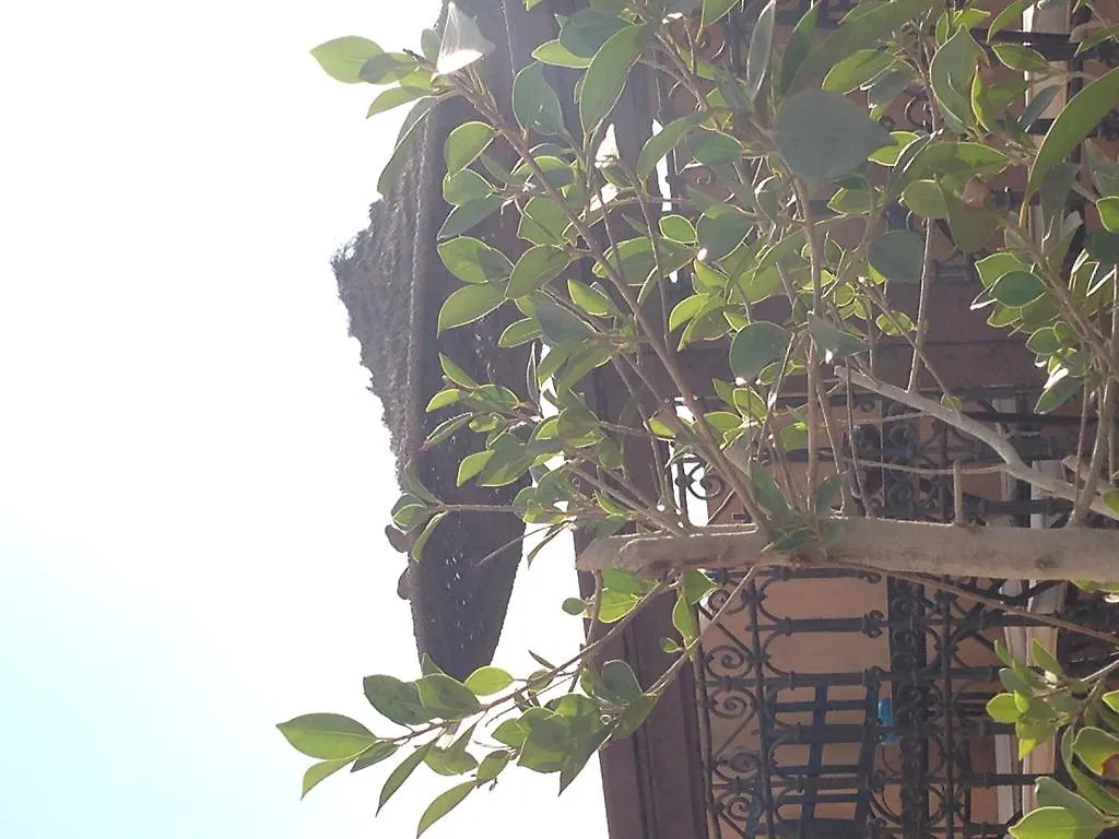 Riad Hiba Marrakesh